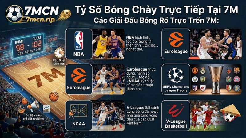 Thống kê số liệu trận đấu NBA và Euroleague chi tiết trên hệ thống 7m cn